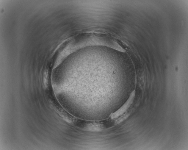 X0000065980708200603101422