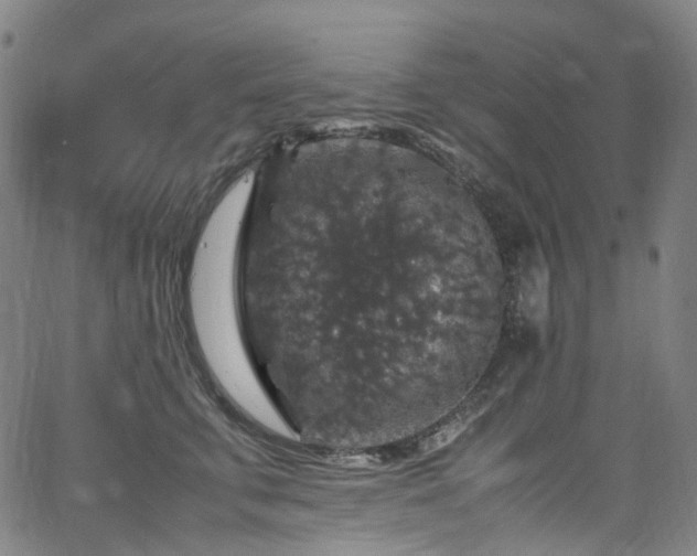 X0000065980711200603101422