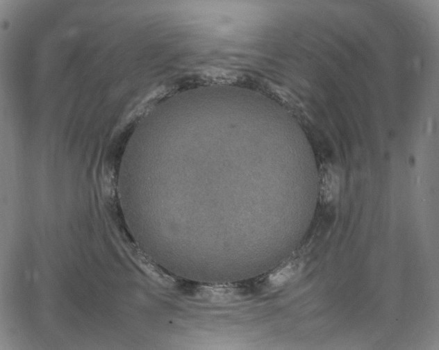 X0000065980713200603101422