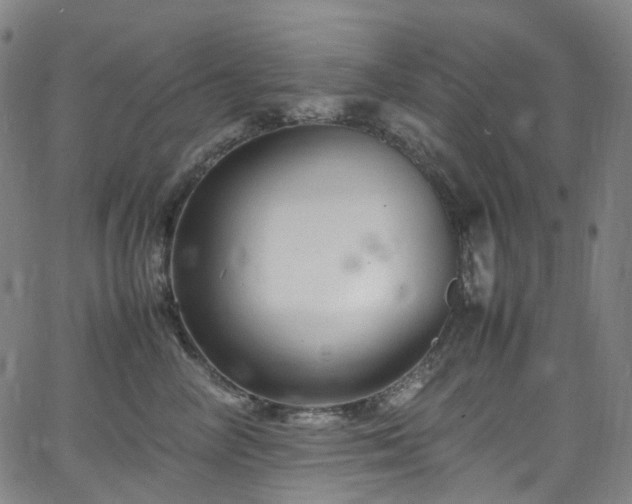 X0000065980714200603101422