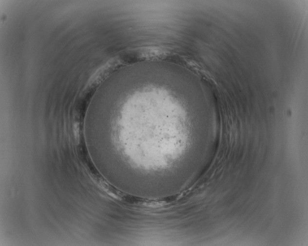 X0000065980716200603101422