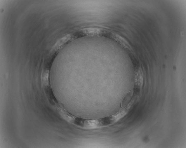 X0000065980717200603101422