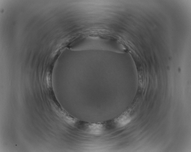 X0000065980718200603101422