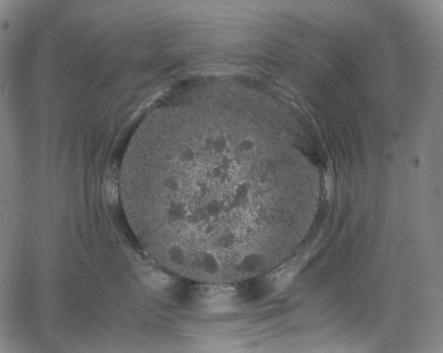 X0000065980719200603101422