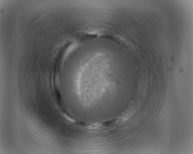 X0000065980720200603101422