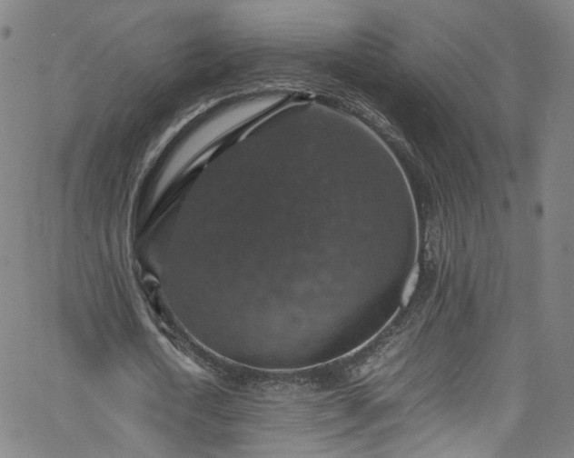 X0000065980722200603101421