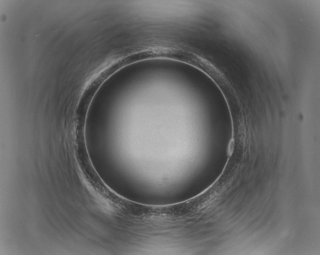 X0000065980730200603101421