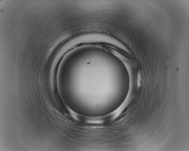 X0000065980731200603101421