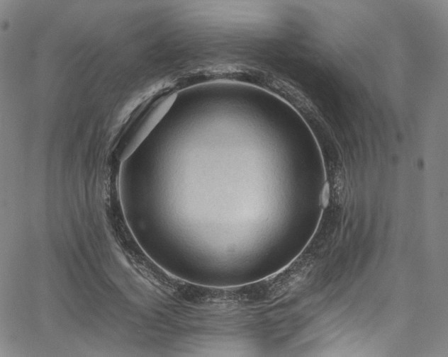 X0000065980732200603101421