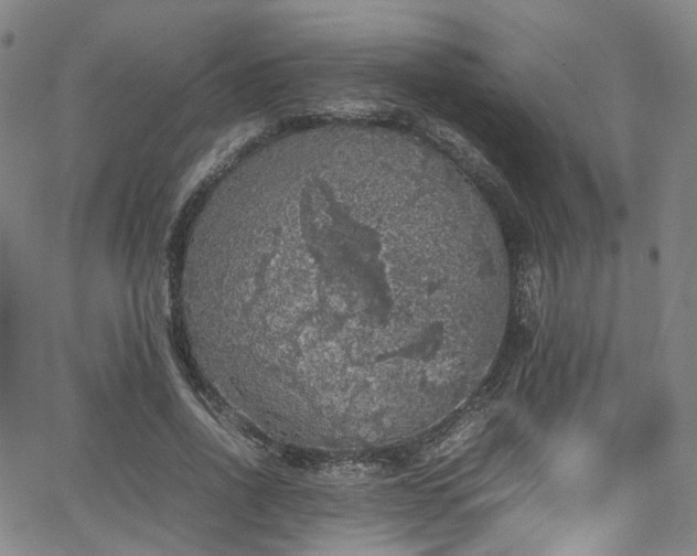 X0000065980734200603101421