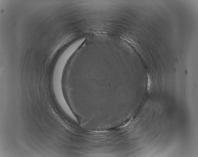 X0000065980735200603101422