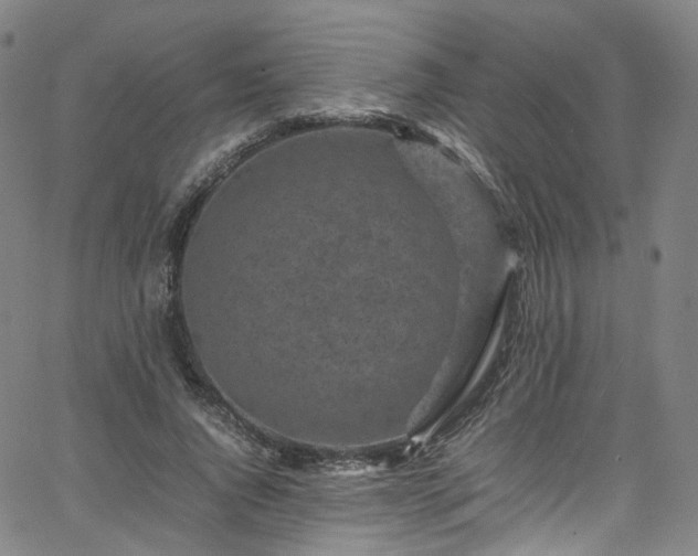 X0000065980736200603101422