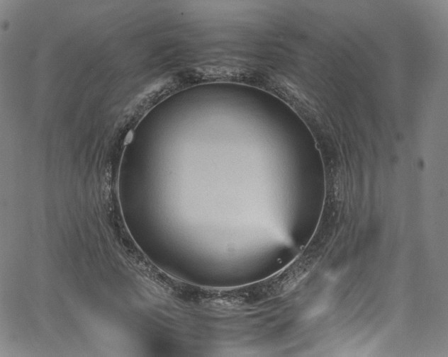 X0000065980737200603101422