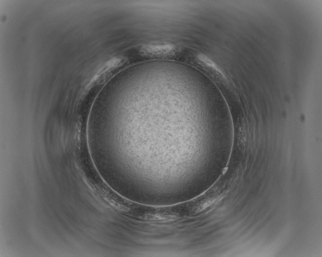 X0000065980739200603101422