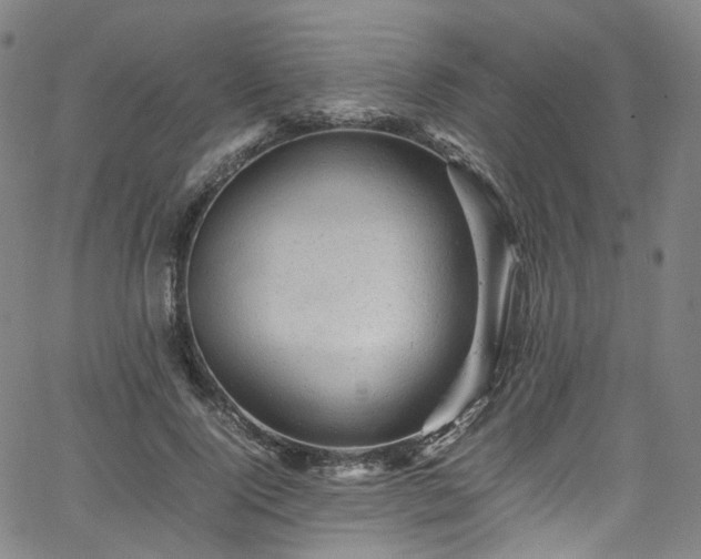 X0000065980740200603101422