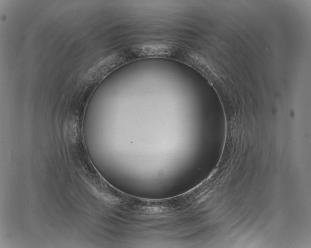 X0000065980741200603101422