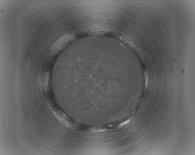 X0000065980742200603101422