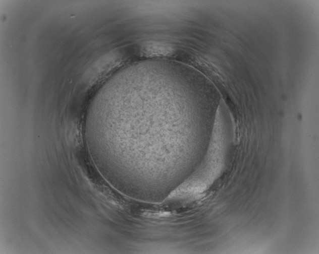 X0000065980743200603101422