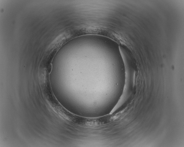 X0000065980744200603101422