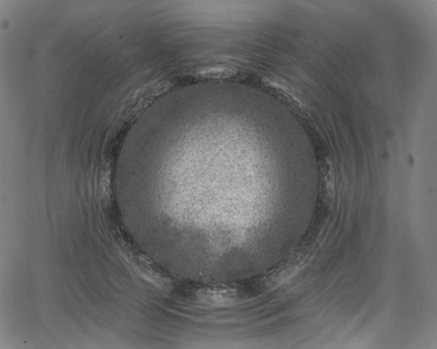 X0000065980745200603101422