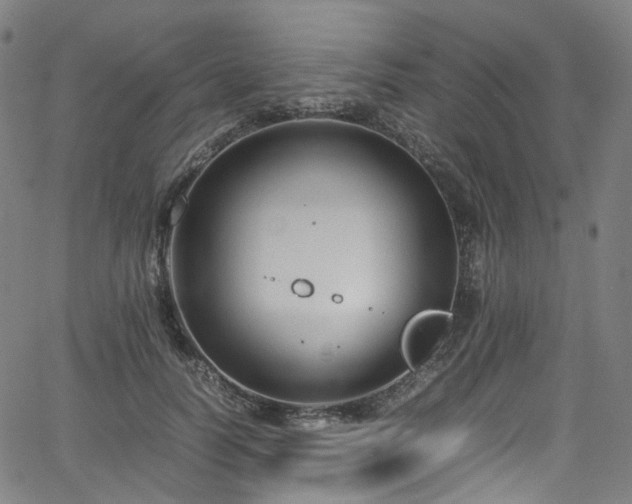 X0000065980746200603101422