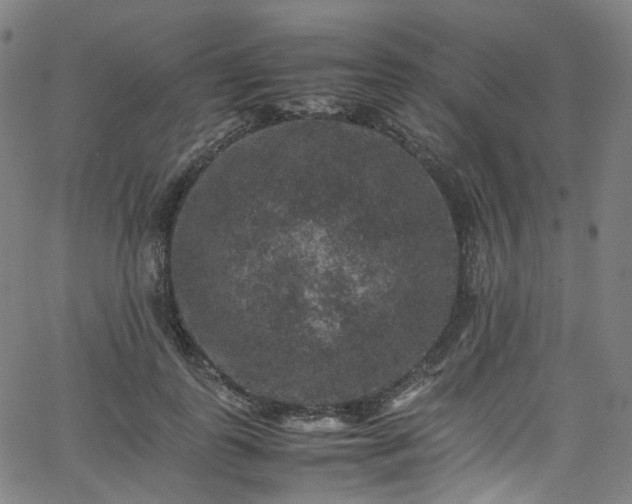 X0000065980747200603101422