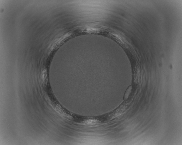 X0000065980748200603101422