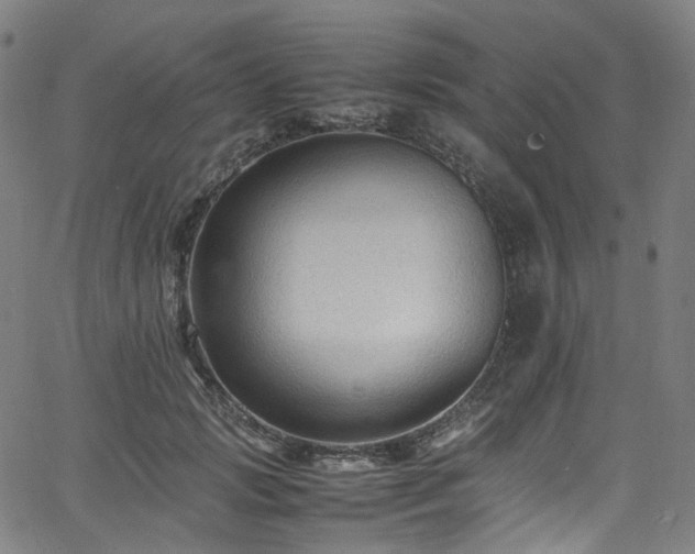 X0000065980749200603101422