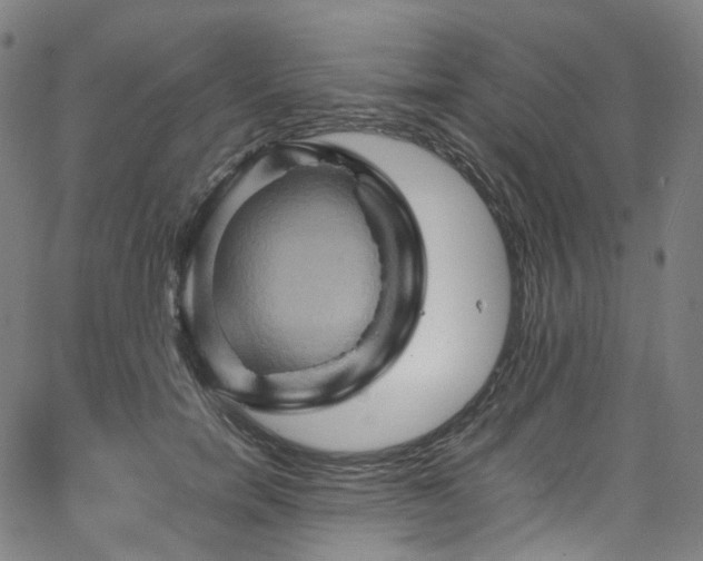 X0000065980750200603101422