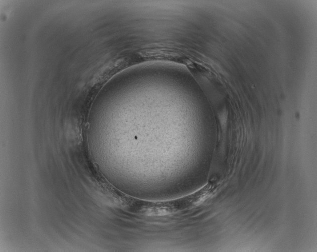 X0000065980751200603101422