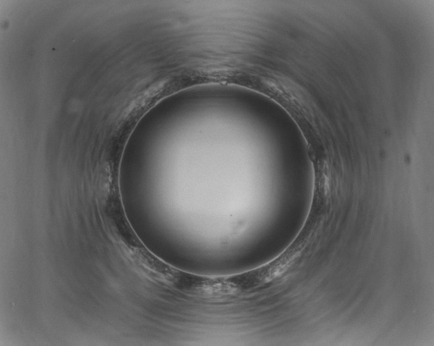 X0000065980752200603101422