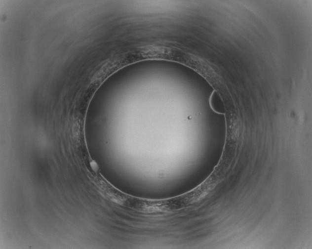 X0000065980753200603101422