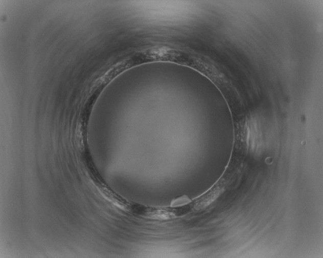 X0000065980754200603101422