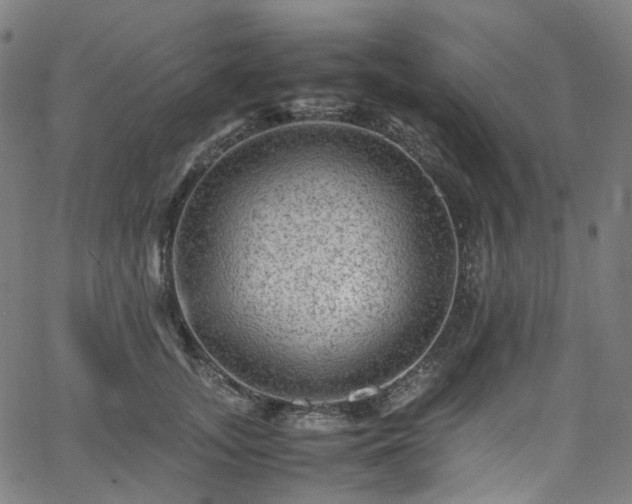 X0000065980755200603101422