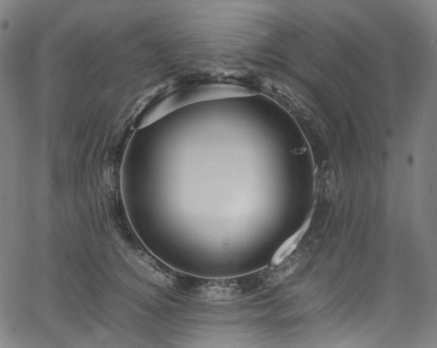 X0000065980756200603101422