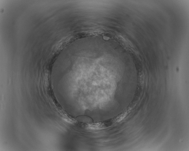 X0000065980757200603101422