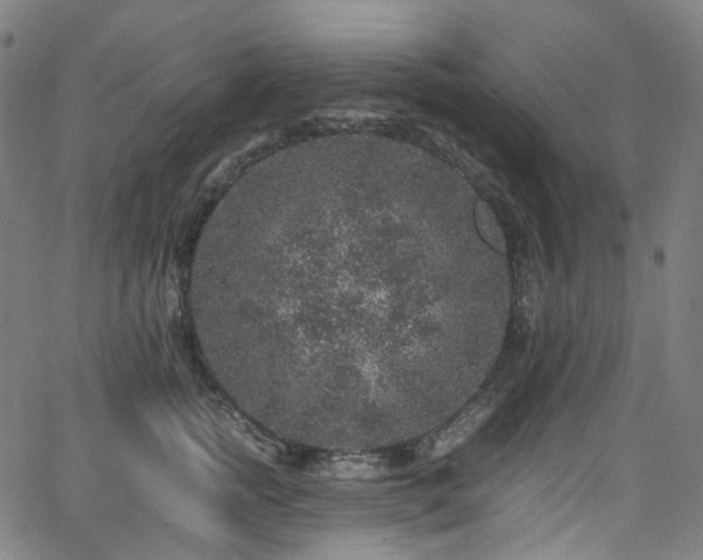 X0000065980758200603101422