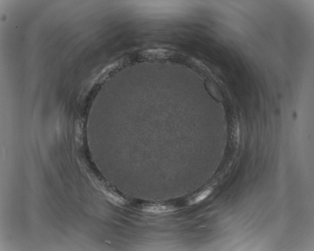 X0000065980759200603101422