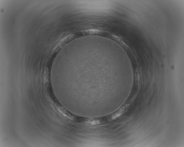 X0000065980760200603101422