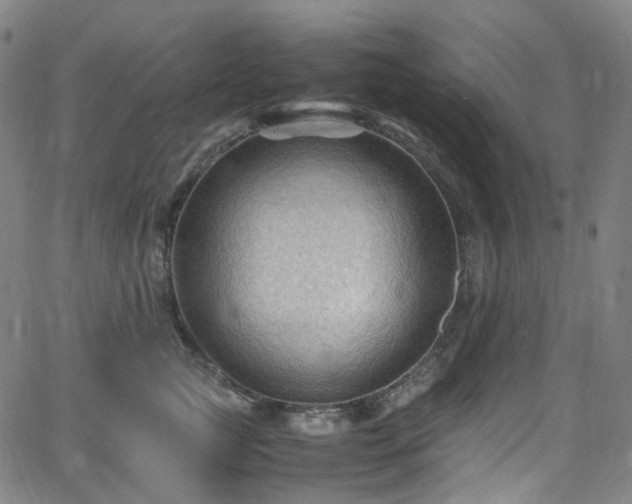 X0000065980761200603101422