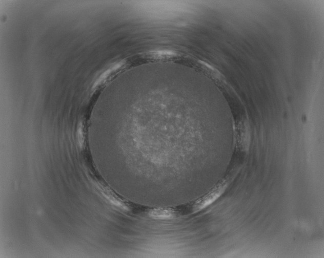 X0000065980762200603101422