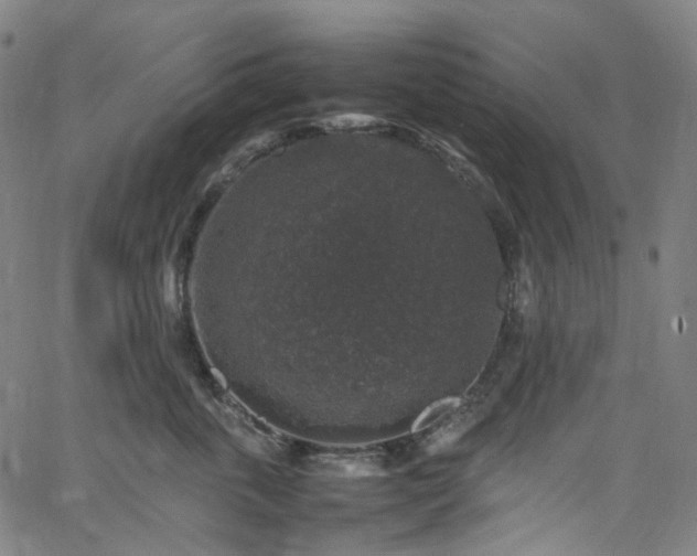 X0000065980763200603101422