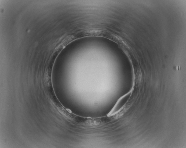 X0000065980764200603101422