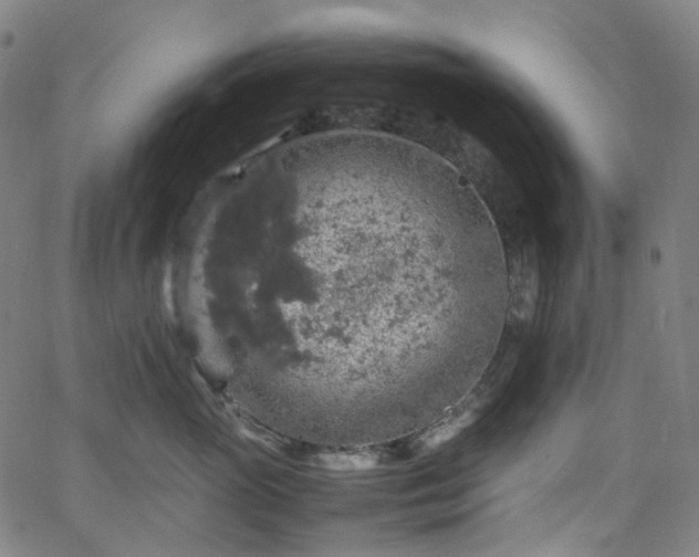 X0000065980765200603101422