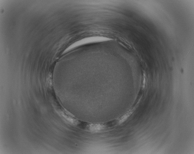 X0000065980766200603101422