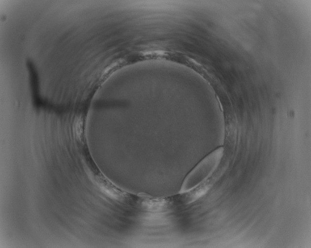 X0000065980767200603101422