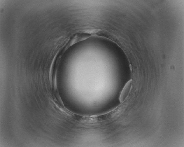 X0000065980768200603101422