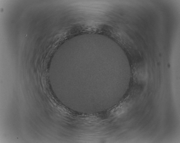 X0000065980769200603101421