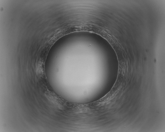 X0000065980770200603101421