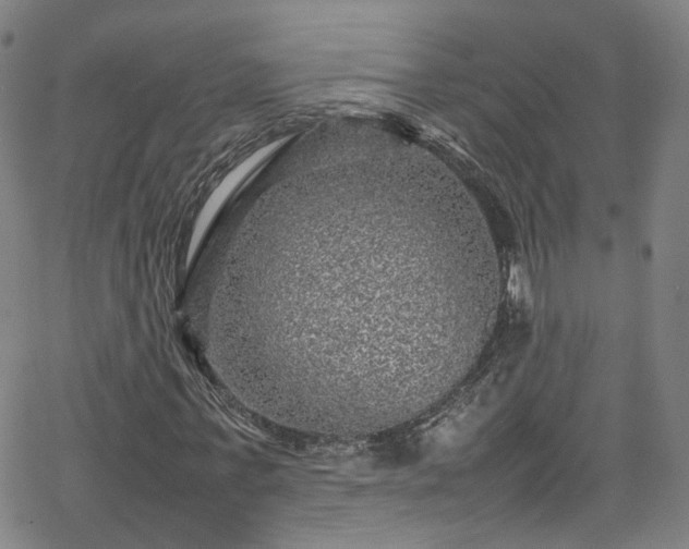 X0000065980771200603101421